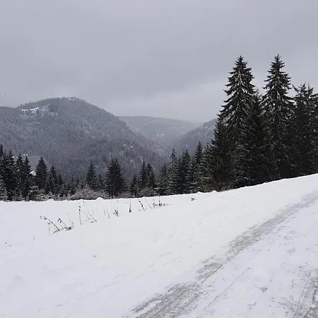 Apartments Vlasic Appartamento