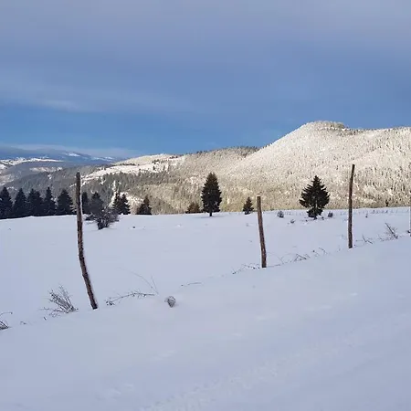 Apartments Vlasic Vlasic