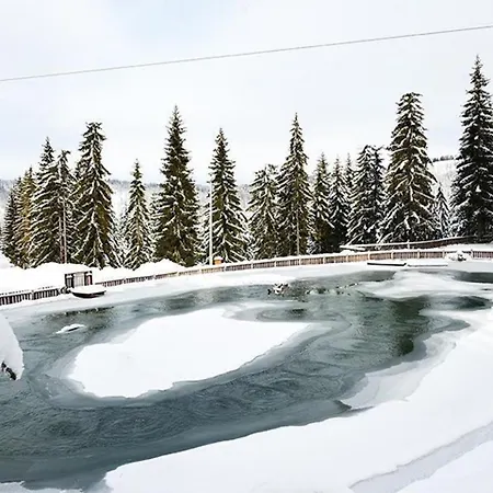 Appartamento Apartments Vlasic