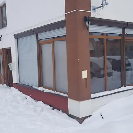 Apartments Vlasic *