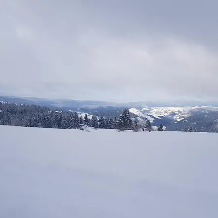 Apartments Vlasic Appartamento Vlasic