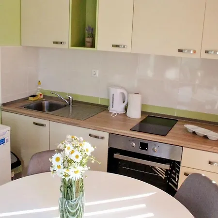 Apartments Vlasic Daire *