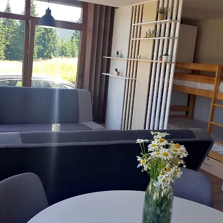 Apartments Vlasic Власич